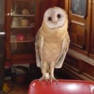 Meet your Posher, Deborah